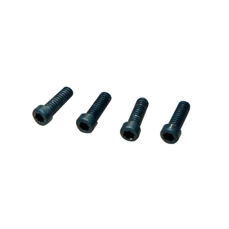 WHEEL HUB SCREW MTC2 (4 PCS)