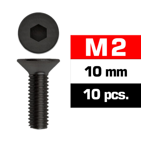 M2x10mm FLAT HEAD SCREWS (10 pcs)