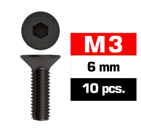M3x6mm FLAT HEAD SCREWS (10 pcs)