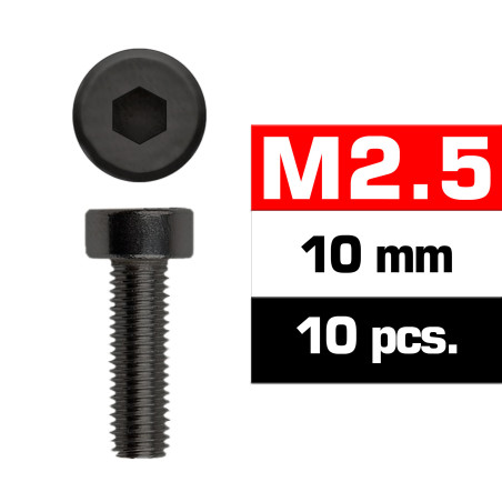 M2,5x10mm CAP HEAD SCREWS (10 pcs)