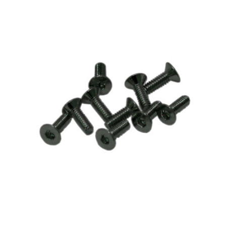 TORNILLOS M2x6mm AVELLANADO (10u.)