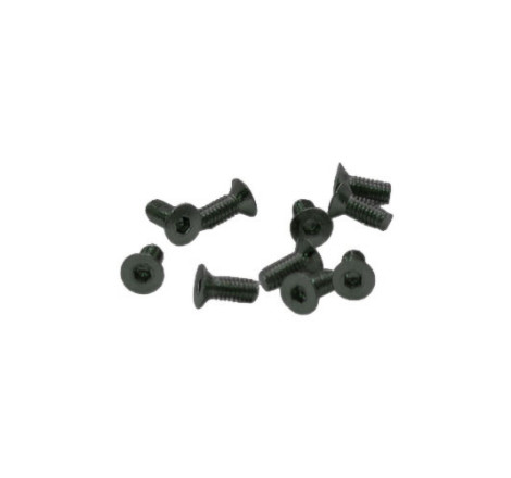 TORNILLOS M2,5x6mm AVELLANADO (10u.)