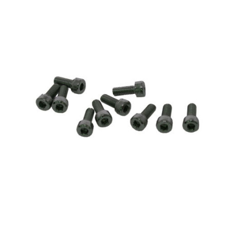 TORNILLOS M4x10mm CILINDRICO (10u.)