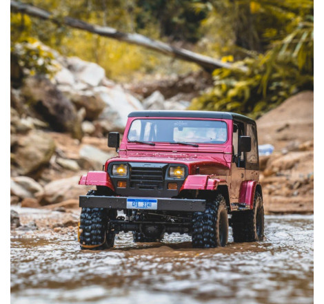 FMS 1:10 MASHIGAN RS RED V2