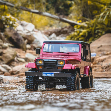 FMS 1:10 MASHIGAN RS RED V2