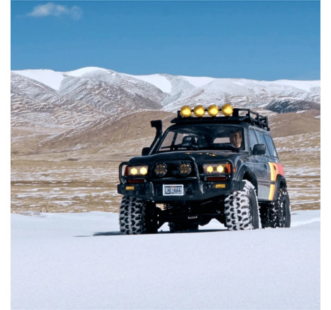 FMS 1:10 TOYOTA LAND CRUISER 80 RS GREY