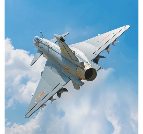 AVION EDF J-10 GRI W/REFELX V3 GRIS PNP FMS