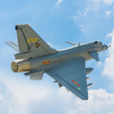 AVION EDF J-10 GRI W/REFELX V3 GRIS PNP FMS