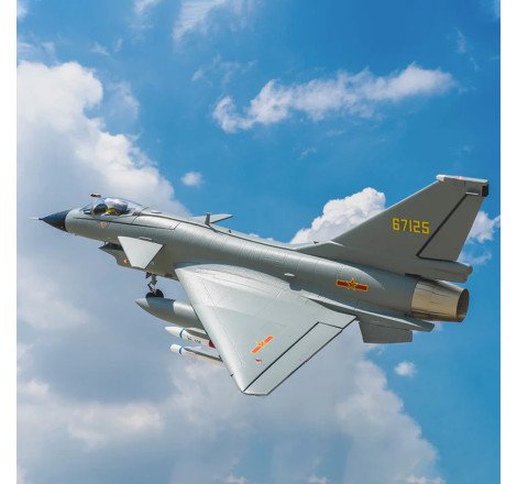 AVION EDF J-10 GRI W/REFELX V3 GRIS PNP FMS