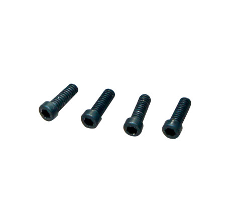 WHEEL HUB SCREW (4 PCS) MTC2