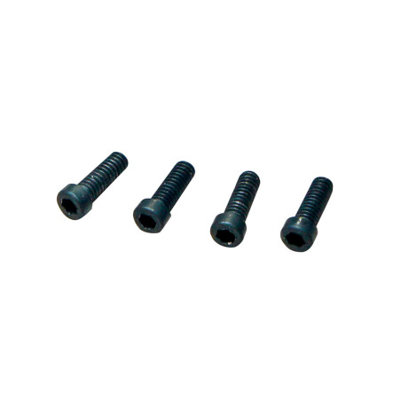 WHEEL HUB SCREW (4 PCS) MTC2